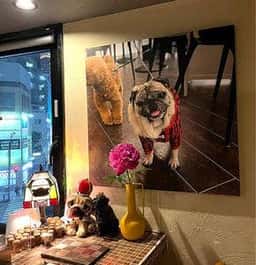 cafe bar もち吉