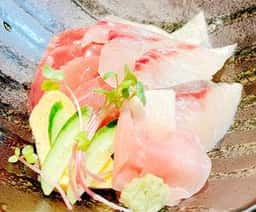 近畿大学水産研究所 グランフロント大阪店