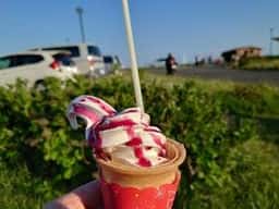 ライトハウス