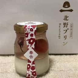 北野プリン Harutsuge