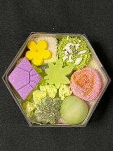 亀末廣
