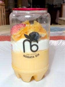 Fruits maison NOGATA SIX