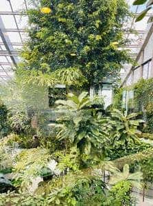 喫茶室クレア