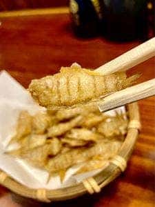 大衆食堂 さんさん亭