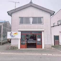 オパトカ