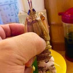 大安 西天満本店