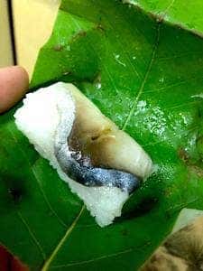 黒滝茶屋
