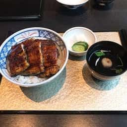 那古野炭焼きうなぎ・かしわ 登河