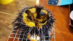 民宿 ムラカミヤ