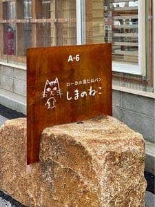 しまのねこ