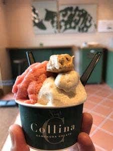 Collina KAMAKURA GELATO