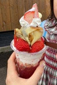 アンジェリック ヴォヤージュ