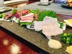 樹馬