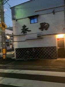 春駒