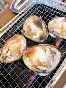 卸直売&バーベキュー 活貝センター 門戸漁港
