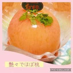 パティスリー白樺