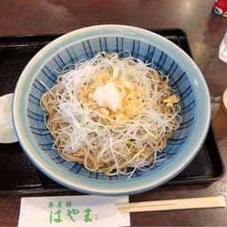 蕎麦膳はやま
