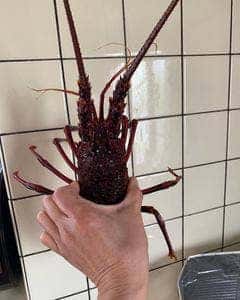 活魚センター 大昌