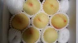 JUICE BAR momo 近鉄百貨店 和歌山店