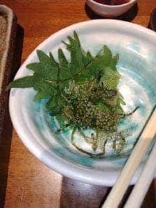 晴屋 十三店