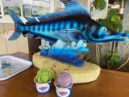 石垣島鍾乳洞 売店