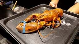 グリルラボ 洋二