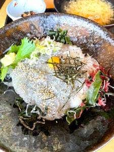 快飛