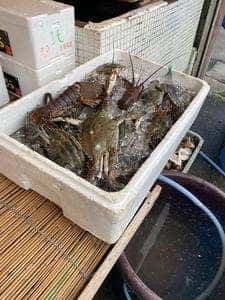 ボウモ海産