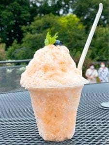 押谷農園 カフェ