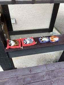 五晃苑 塔のへつり店