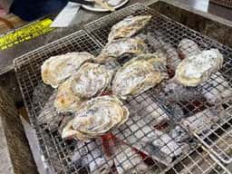 牡蠣ののぶりん