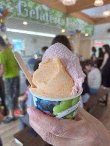 Gelateria Frutti