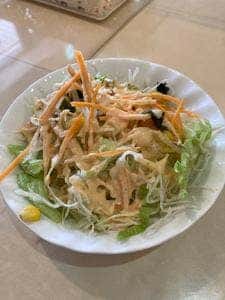 ラジェスタリー