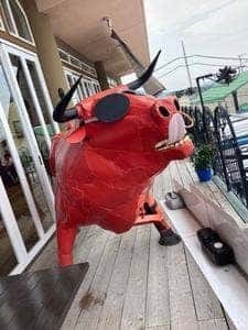 オーシャンテラス