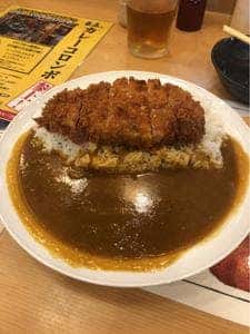 とんかつ 玉藤 北41条店