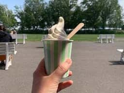 八紘学園 農産物直売所