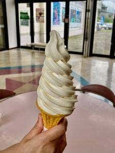 道の駅 コスモール大樹