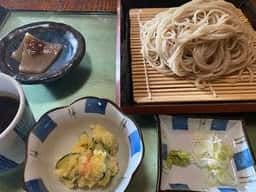 樹の里