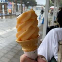 みはらし広場 国営ひたち海浜公園