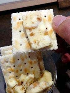 型無 虎南