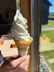 サロベツ