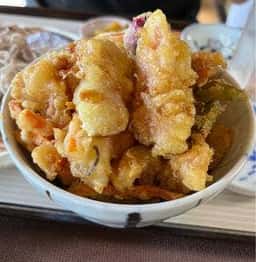 御そば ひな家 珍竹林