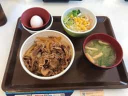 すき家 36号苫小牧明野店