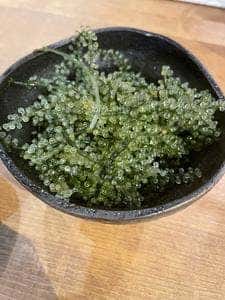 おきまろ
