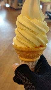 道の駅 桜島 火の島 めぐみ館