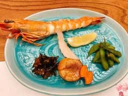 日本料理 向志満 山茶花