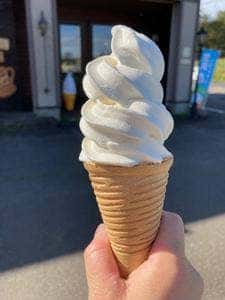 ダンデライオン
