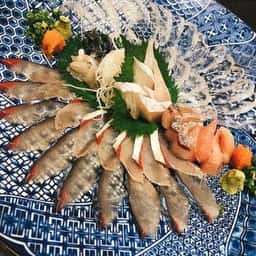 網基