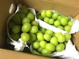 サカイダフルーツ