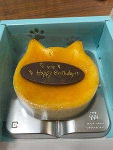 パステル ねこねこチーズケーキ μPLAT一宮店